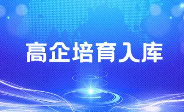 高企培育入库条件有哪些？ -海南高企培育-钱生钱财务咨询