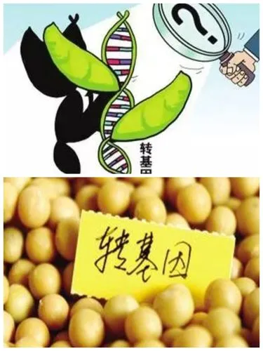 海南农业转基因生物加工许可证如何办理
